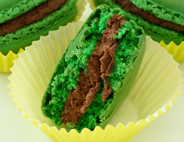 mint chocolate french macarons image