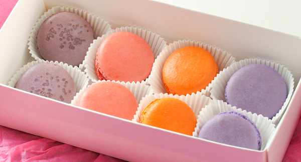 best macaron cookbook image